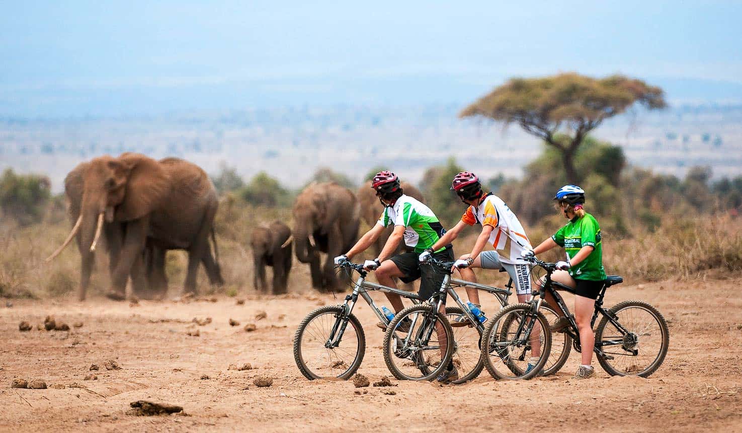 Safari mit dem Mountainbike in Uganda