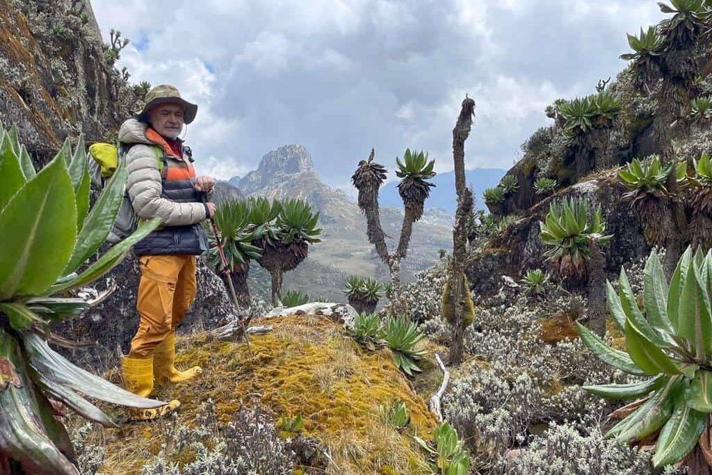 Wandern im Ruwenzori Nationalpark